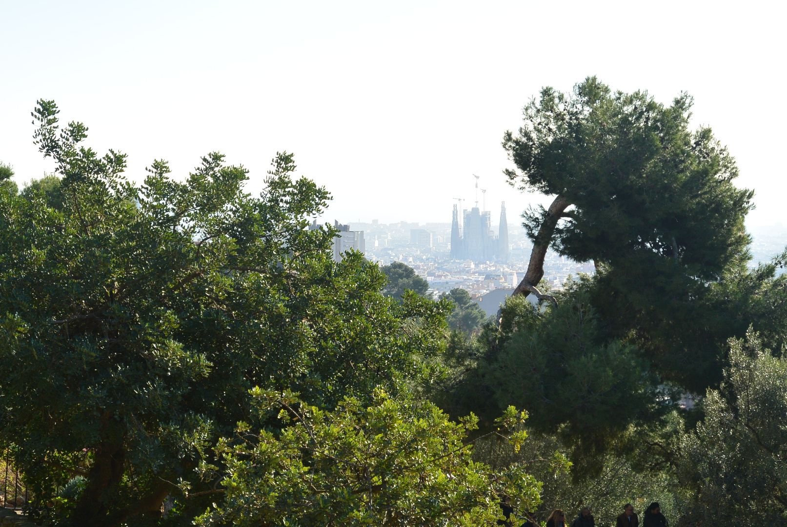 Espagne 261218 301218  193